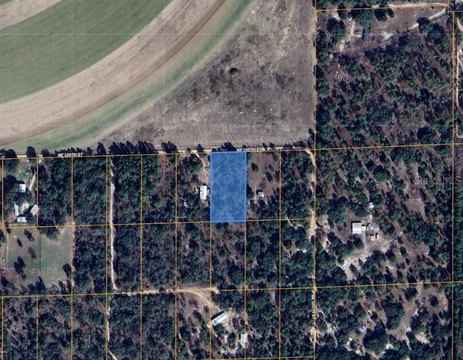 Bronson, Florida 1.25 Acre Parcel