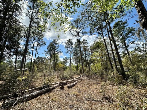 Bronson, Florida 1.25 Acre Parcel