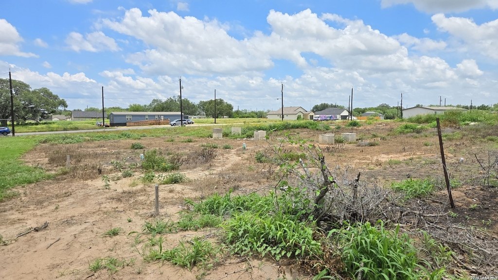 Picture 5