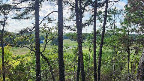 Vacant Land, Story, AR