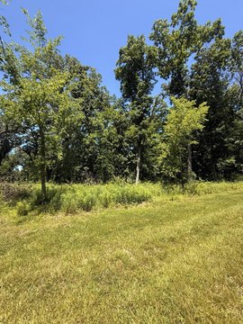 Wooded Corner Lot in Lowell