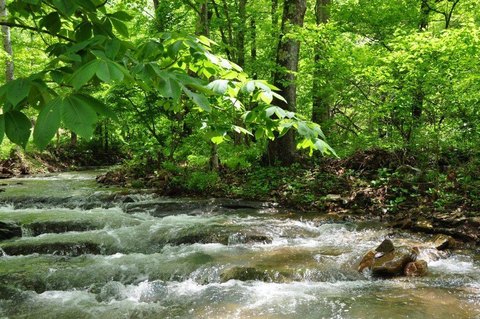 Mountain Retreat Acreage with Stream
