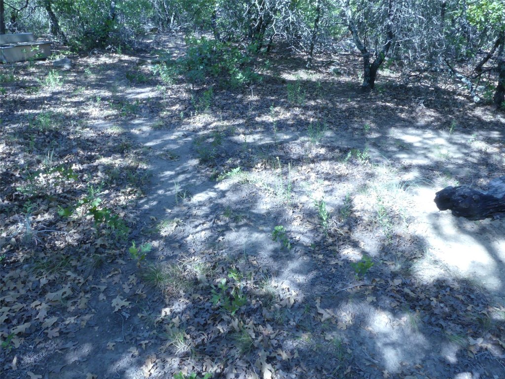 Picture 32