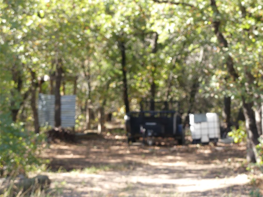 Picture 10