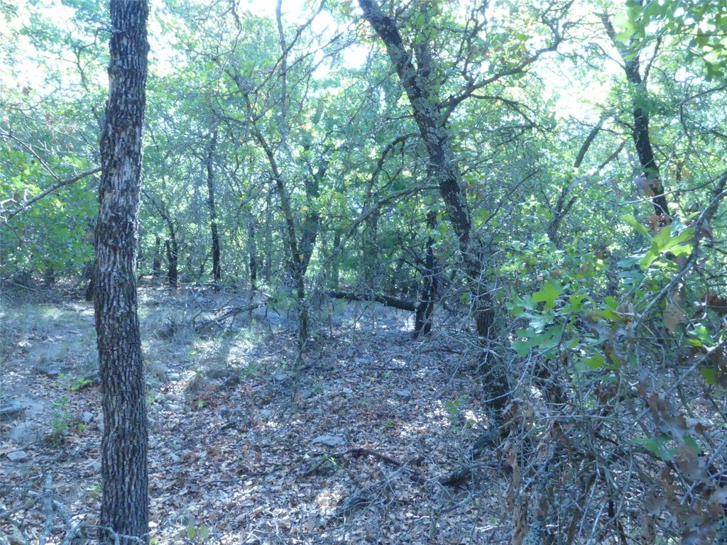 Picture 26