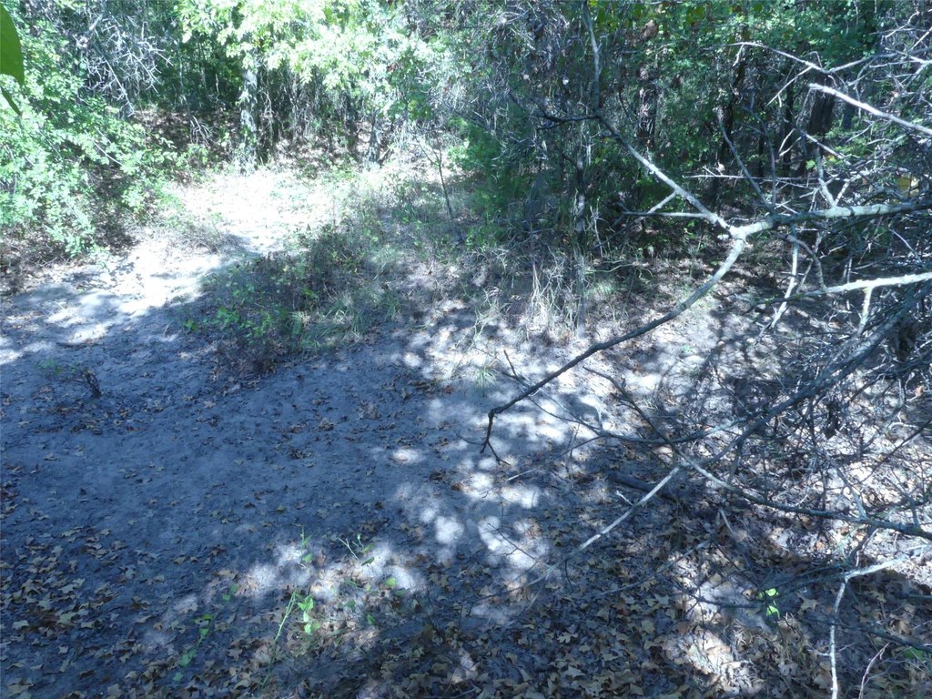 Picture 22