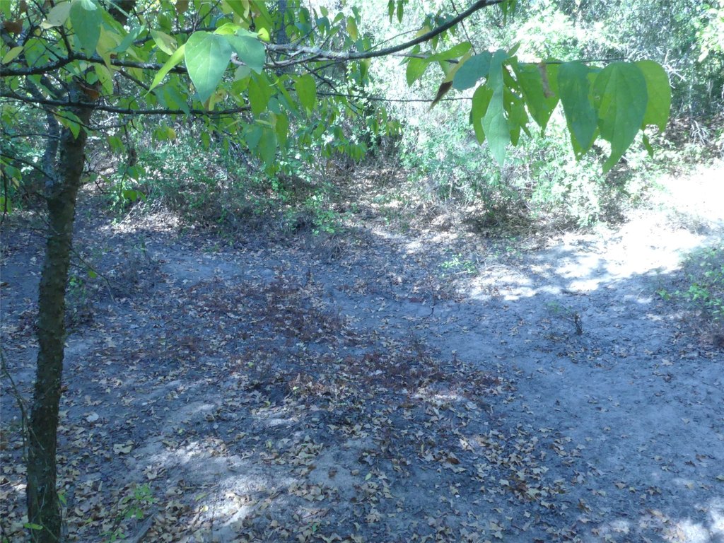 Picture 23