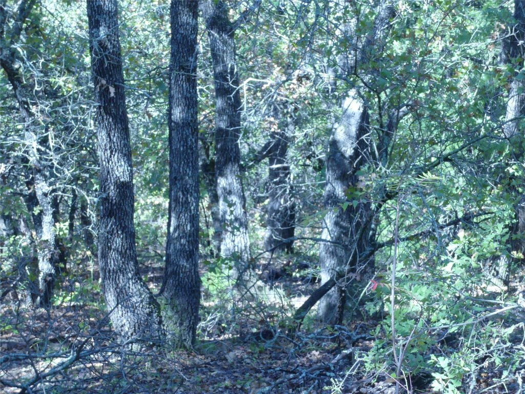 Picture 27