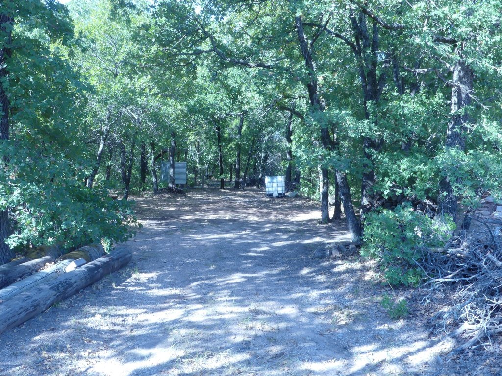 Picture 8