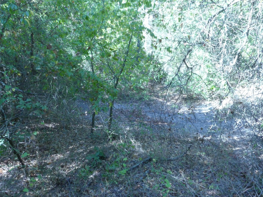 Picture 19