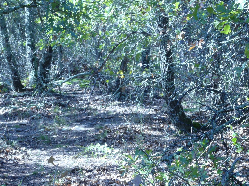 Picture 23