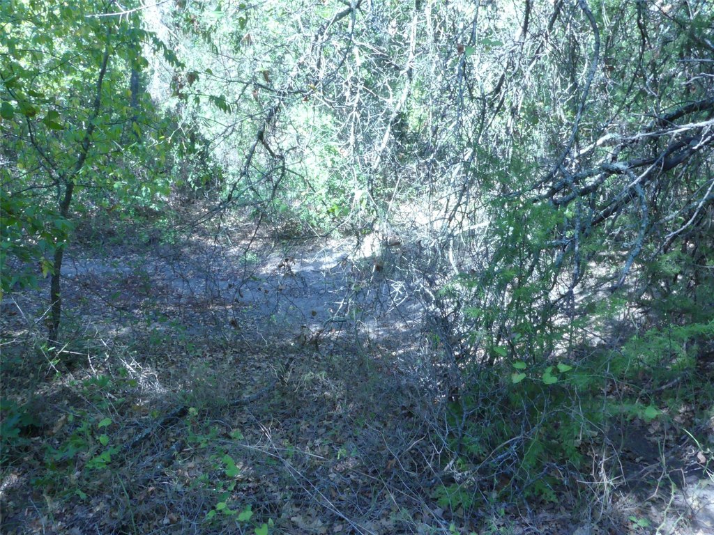 Picture 18