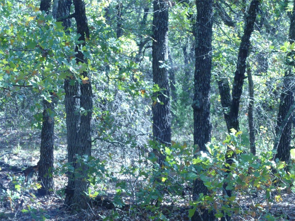 Picture 24