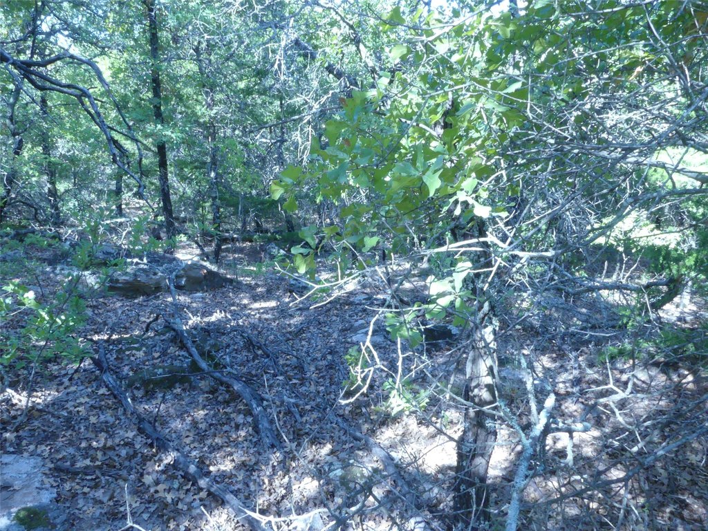 Picture 28