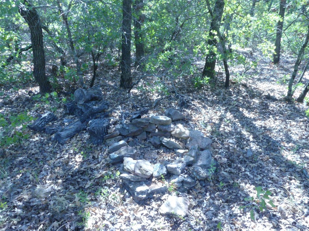 Picture 31
