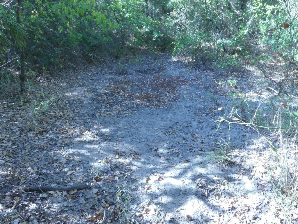 Picture 21