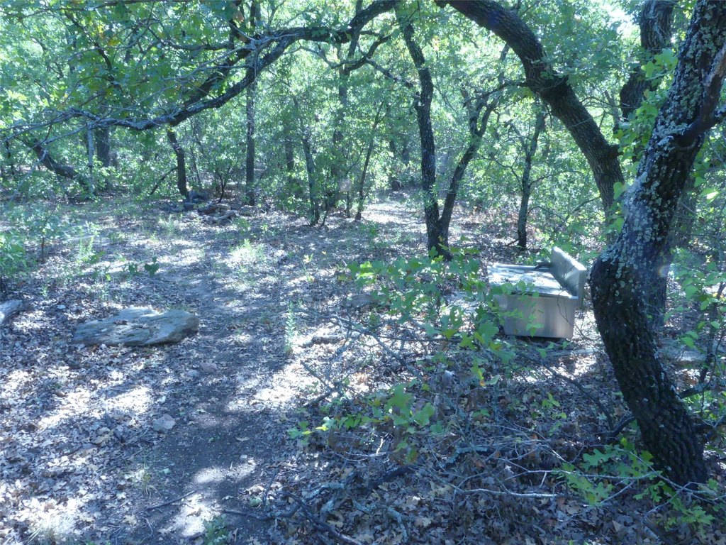 Picture 30