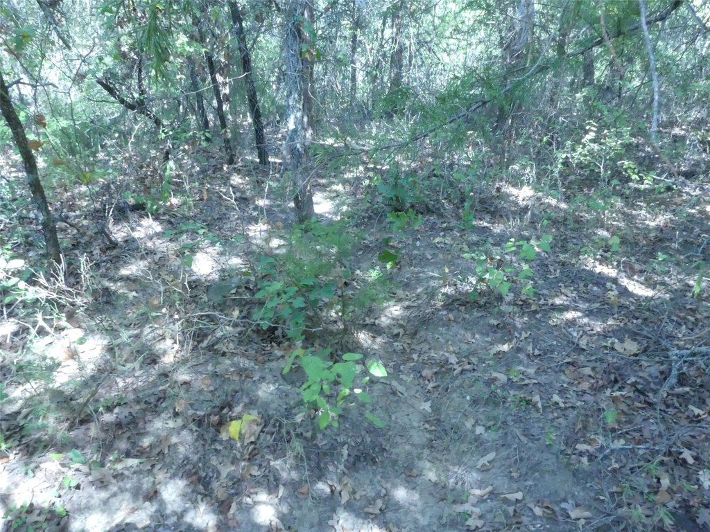 Picture 20