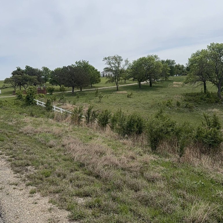 Picture 6