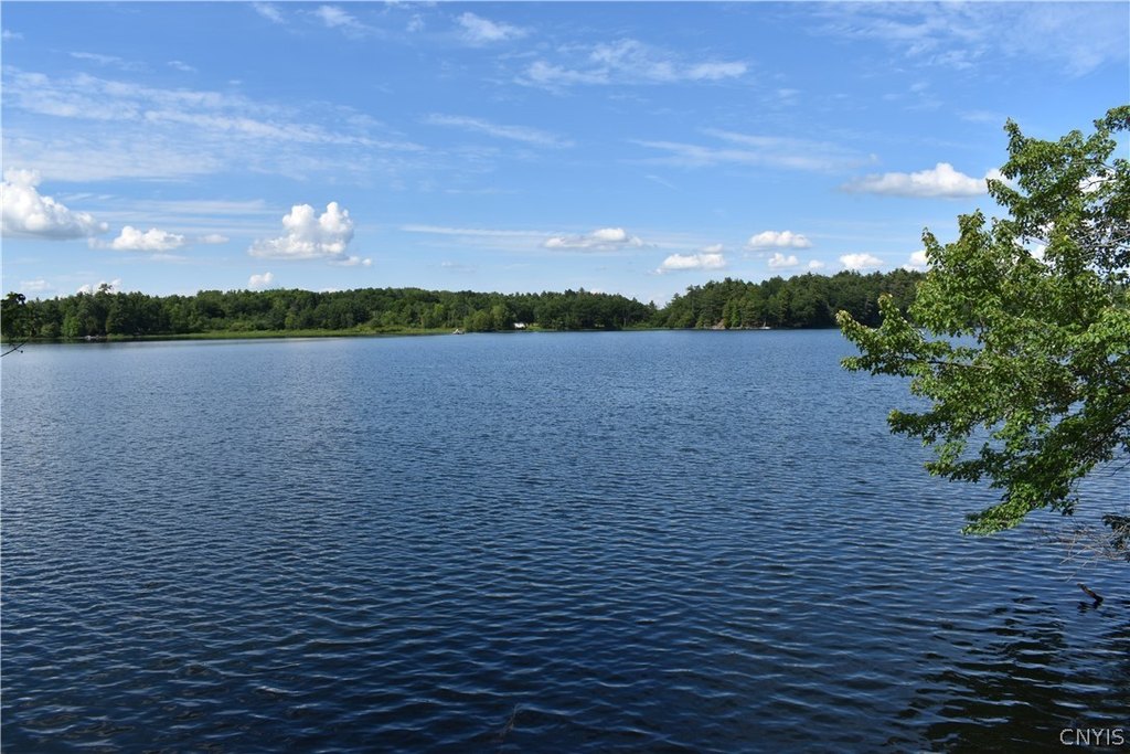 Picture 8