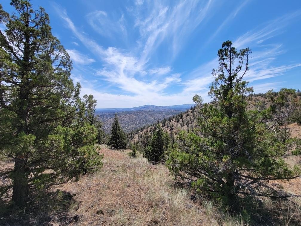Prineville Land with Cascade Views