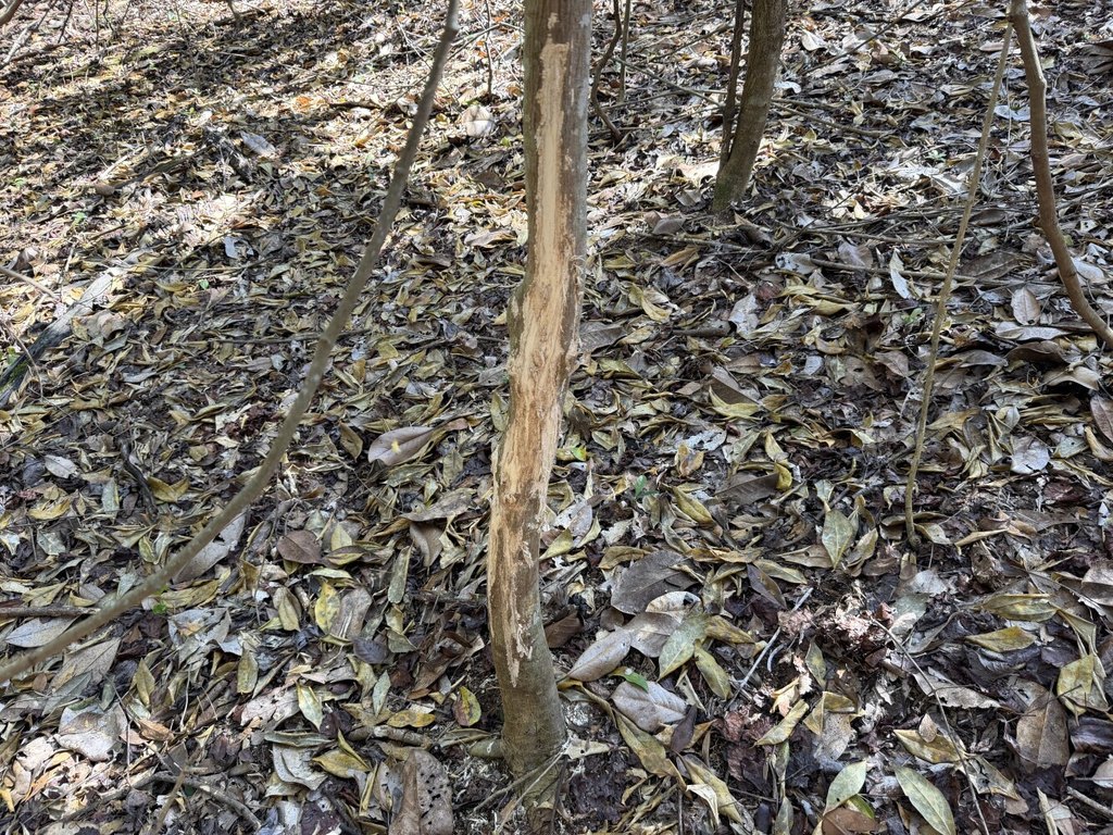 Picture 18