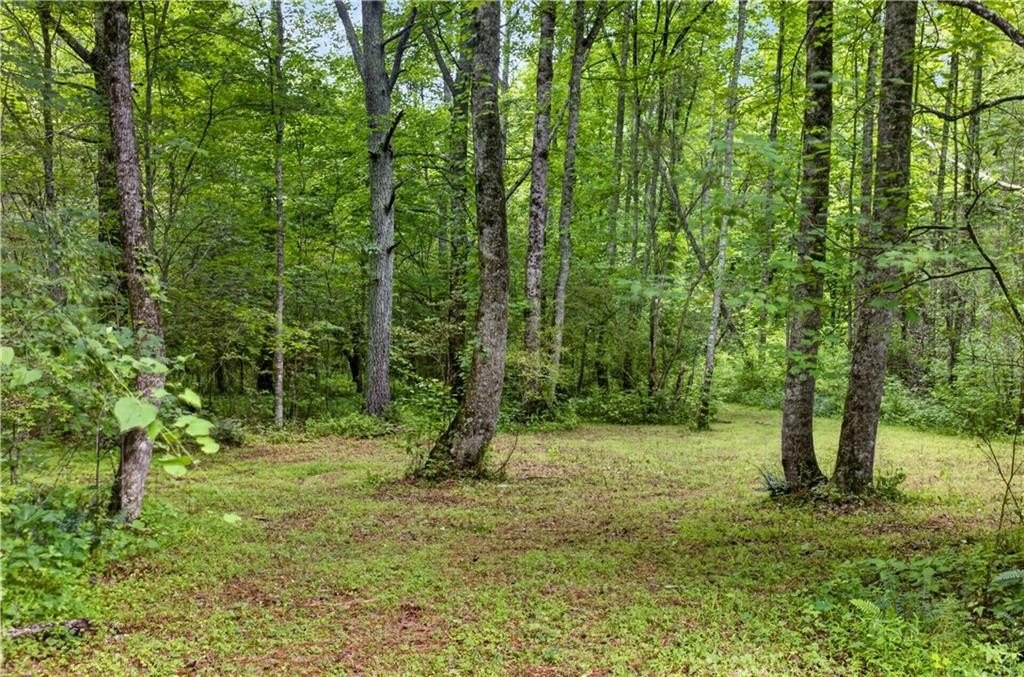 Picture 45