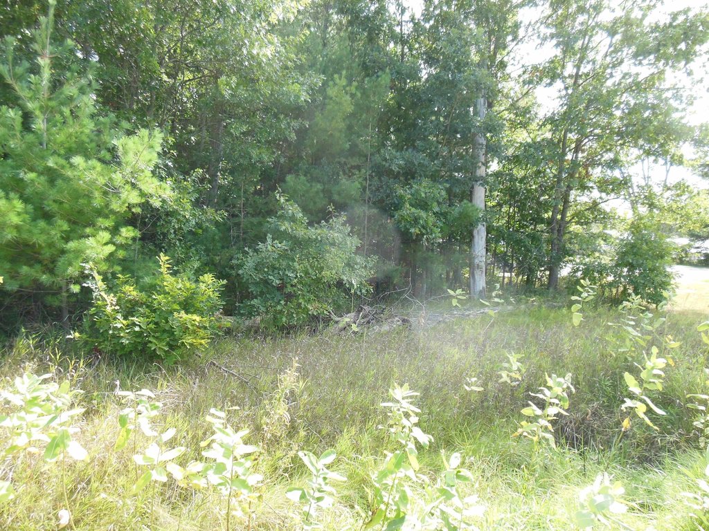 Picture 4