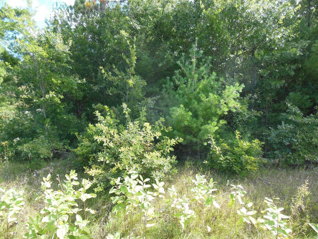 Picture 3