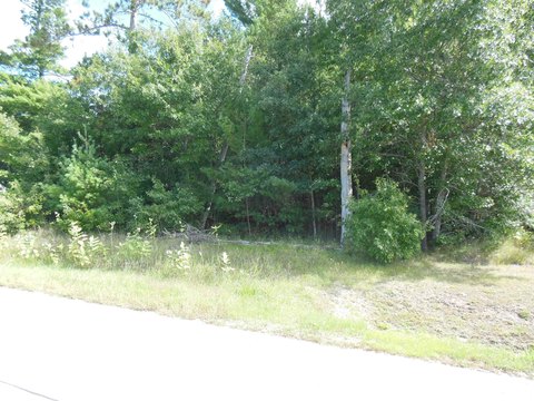VACANT LAND, Harrison, MI