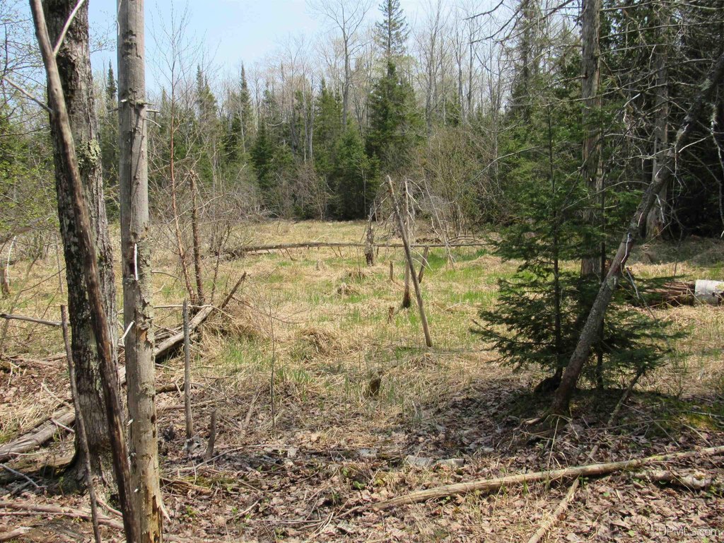 Picture 16