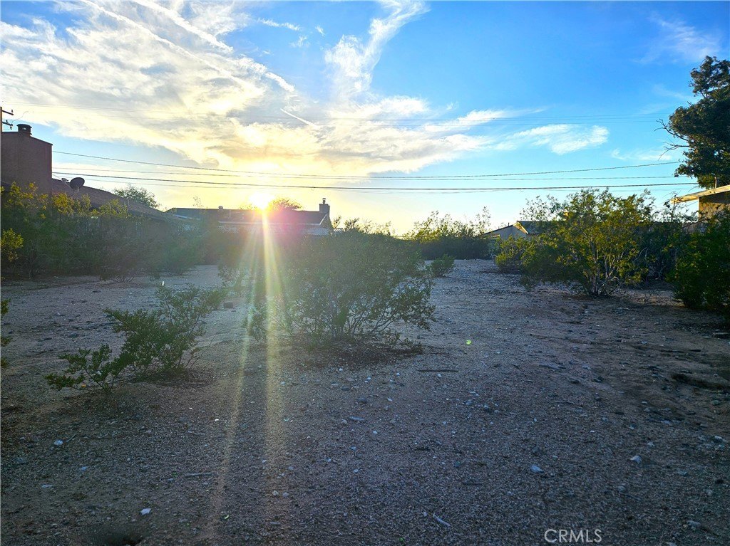 Picture 6