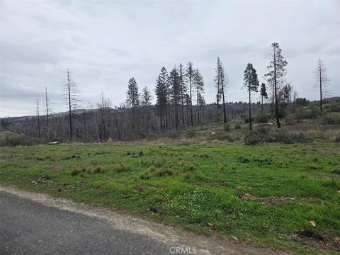 Agricultural Land Lot