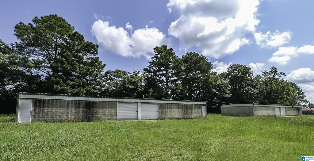 Picture 3