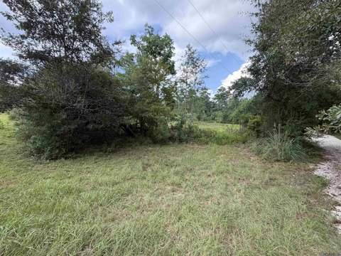Land, Hammond, LA
