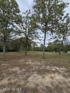 Land, Windsor, SC