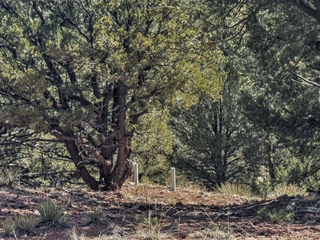Picture 27