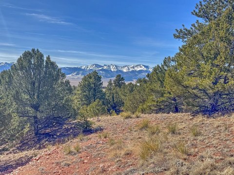 Forested Land in Cuerno Verde