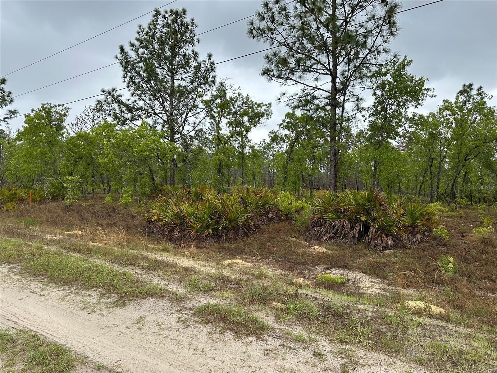 Land in Rolling Hills Subdivision