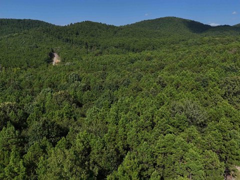 Mena, AR Land For Sale