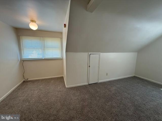 Picture 24