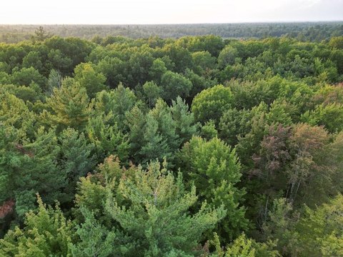 Land, Alger, MI