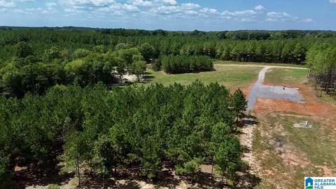 Wooded Pasture Agricultural Land