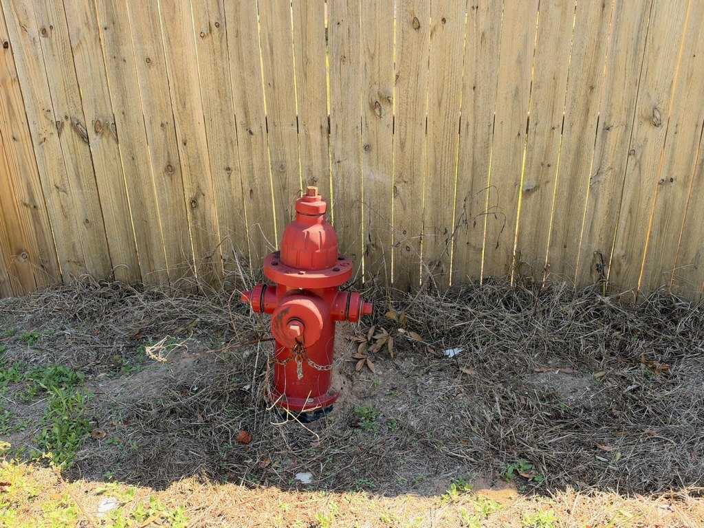 Picture 8