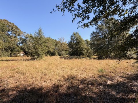 Land, Holt, FL