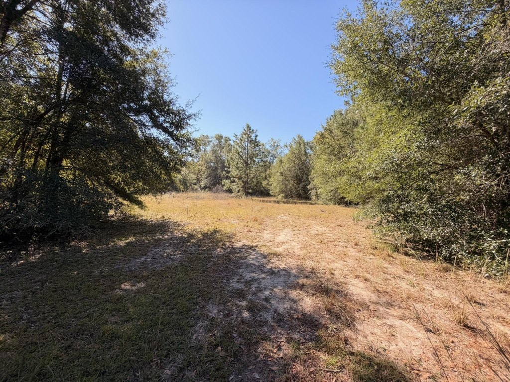 Picture 2