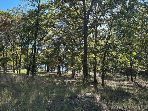Ozarks Land Near Lake