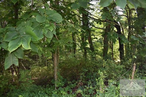 Lots, NORTH TAZEWELL, VA