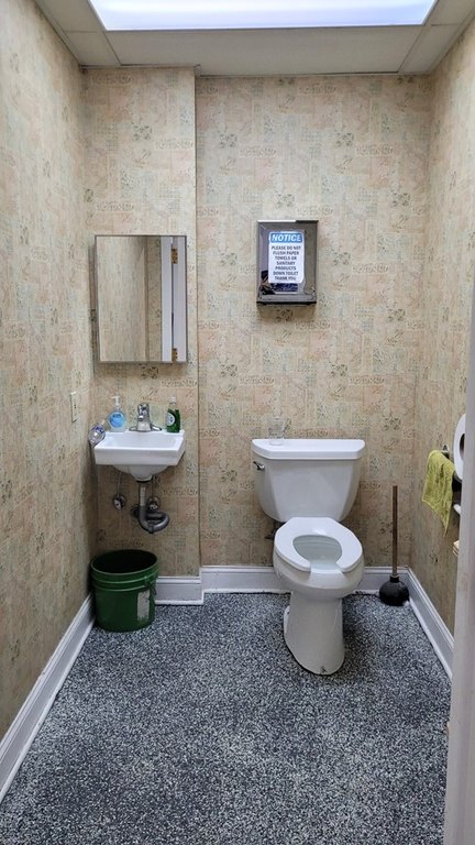Picture 8
