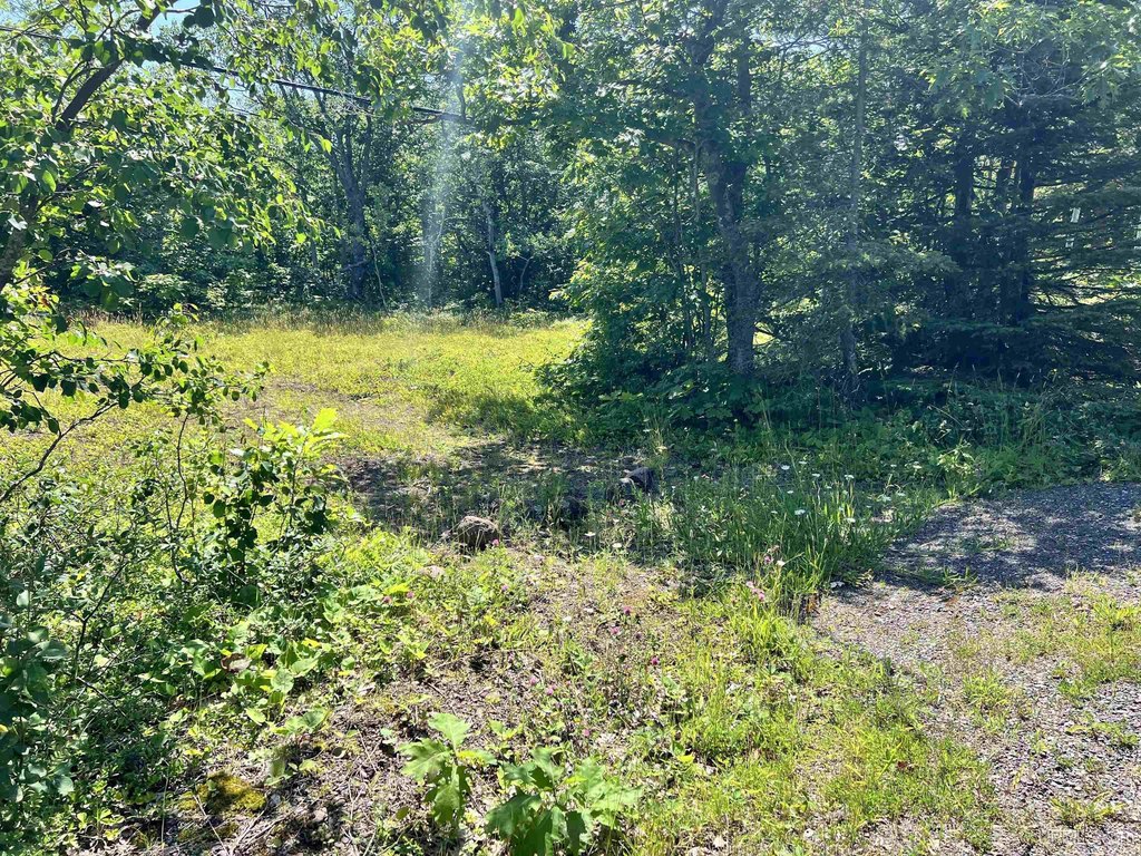 Picture 27